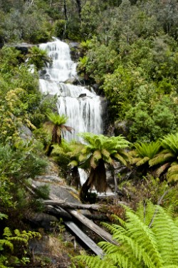 Fainter FallsPaul Temple
